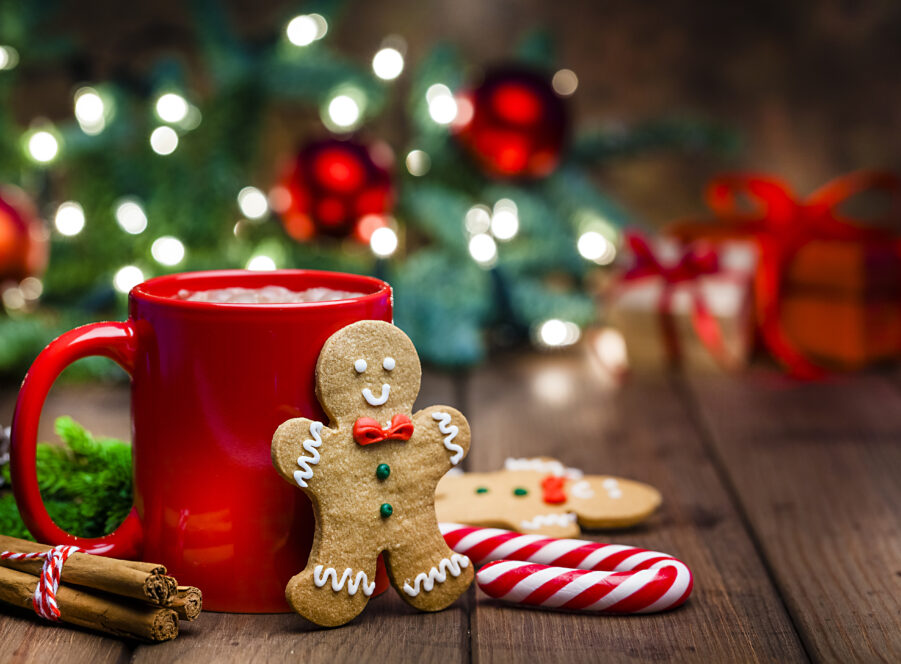 Gingerbread cookie and hot chocolate for Christmas