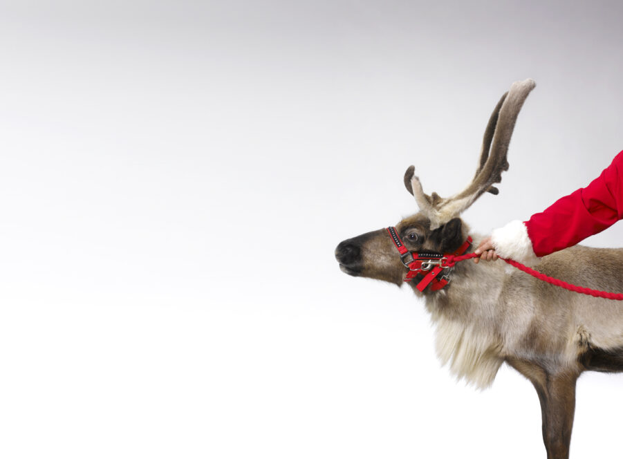 Santa Claus with reindeer and copy space