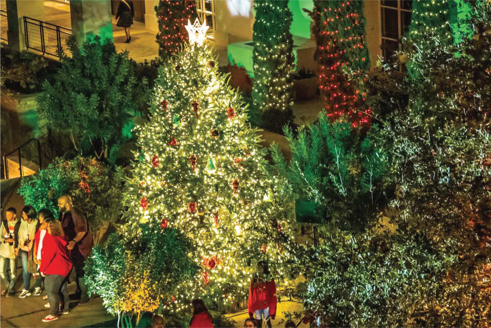 Tree_Lighting_Carousel_2024