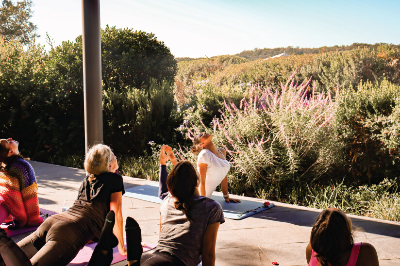 Social Yoga at Loma de Vida Spa